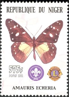 Chief (Amauris echeria)