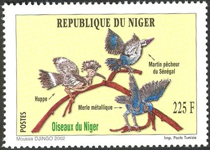 Eurasian Hoopoe, Woodland Kingfisher, Glossy Starling