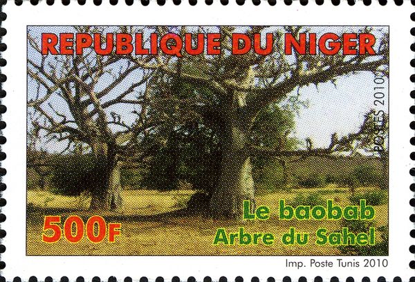Baobab Tree of the Sahel