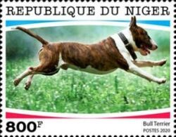 Bull Terrier