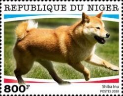 Shiba Inu
