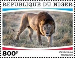 Panthera leo