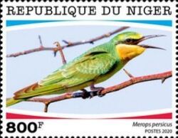 Merops persicus