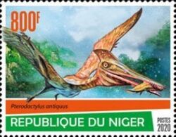 Pterodactylus antiquus