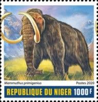 Mammuthus primigenius