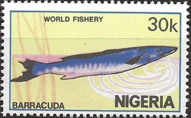 Barracuda