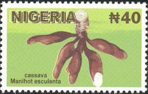 Cassava