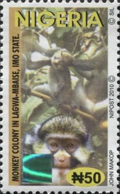 Monkey Colony, Lagwa-Mbaise