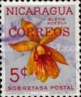 Bletia roezlii overprinted