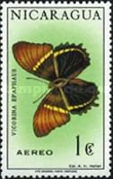 Rusty-tipped Page (Siproeta epaphus)