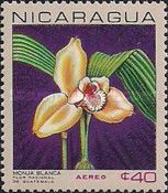 Lycaste skinneri var. alba