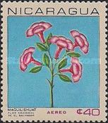 Tabebuia pentaphylla