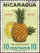 Pineapples