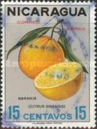 Orange (Citrus sinensis)