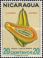 Papaya