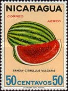 Watermelon