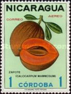 Sapodilla