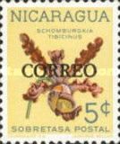 Schomburgkia tibicinus overprinted