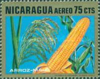 Corn