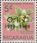 Stanhopea ecornuta overprinted