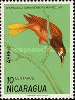 Montezuma Oropendola (Gymnostinops montezuma)