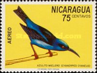 Red-legged Honeycreeper (Cyanerpes cyaneus)
