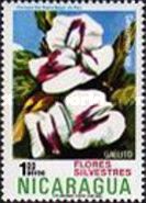 Centresema spp.