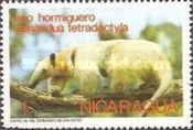 Southern Tamandua (Tamandua tetradactyla)