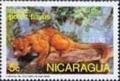 Kinkajou (Potos flavus)