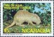 Coypu (Myocastor coypus)