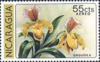 Orquidea (Paphiopedilum insigne)