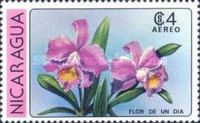 Flora de un Dia (Cattleya skinneri)