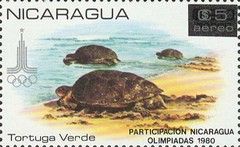 Turtles