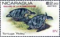 Kemps Ridley Seaturtle, overprinted