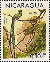 Resplendent Quetzal (Pharomachrus mocinno)