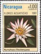 Nymphaea daubenyana