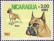 German Boxer (Canis lupus familiaris)