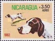 English Pointer (Canis lupus familiaris)