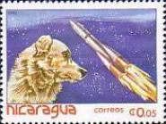Laika and Rocket