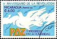 Dove on the sea