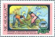 Sugarcane harvest