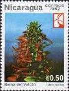 Mexican Lobelia (Lobelia laxiflora)