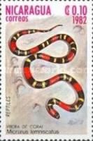 South American Coral Snake (Micrurus lemniscatus)