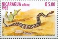 Massasauga (Sistrurus catenatus)