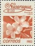 Plumeria rubra