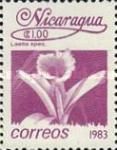 Laelia sp.