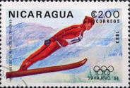 Ski Jumping