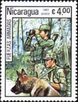 Soldiers with dog