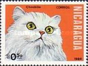 Chinchilla (Felis silvestris catus)