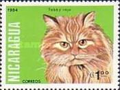 Red Tabby (Felis silvestris catus)